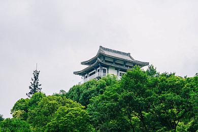  《指环王：夏尔传说》媒体评分解禁 IGN4分差评！